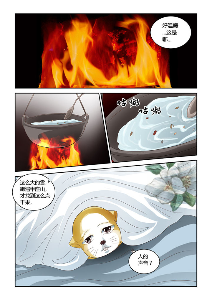 吾家猫猫大人漫画,第56章：仓鼠的回忆2图