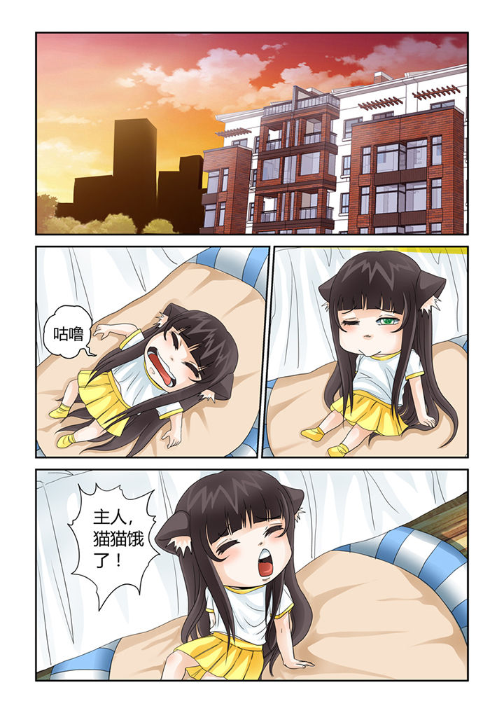 吾家猫猫大人漫画,第41章：猫猫的一天1图