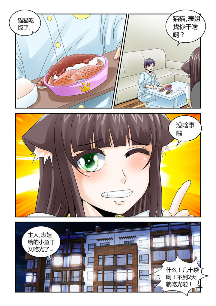 吾家猫猫大人漫画,第46章：魔猫2图