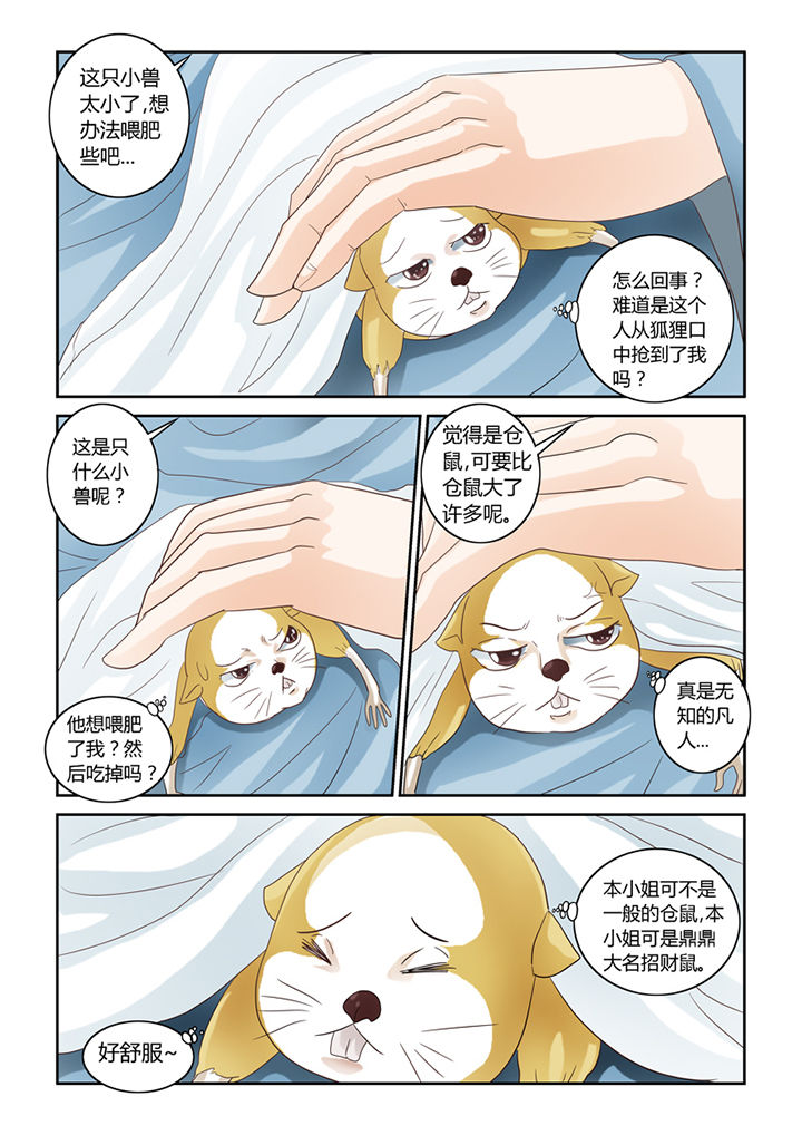 吾家猫猫大人漫画,第56章：仓鼠的回忆3图