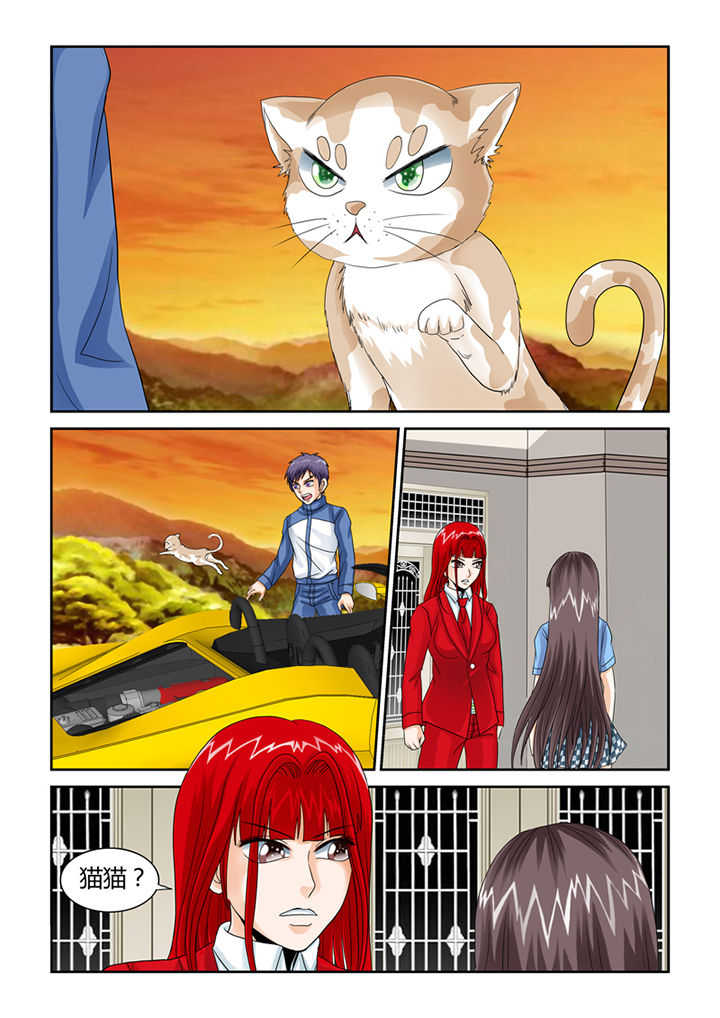 吾家猫猫大人漫画,第45章：养鬼5图