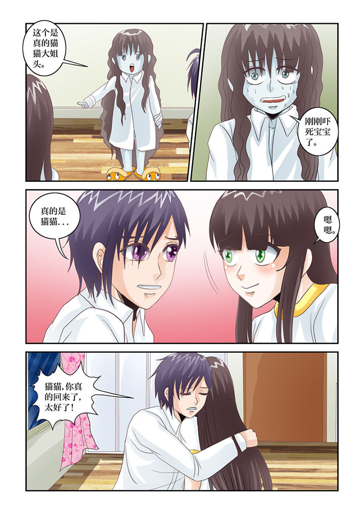 吾家猫猫大人漫画,第67章：猫猫回家了（2）4图