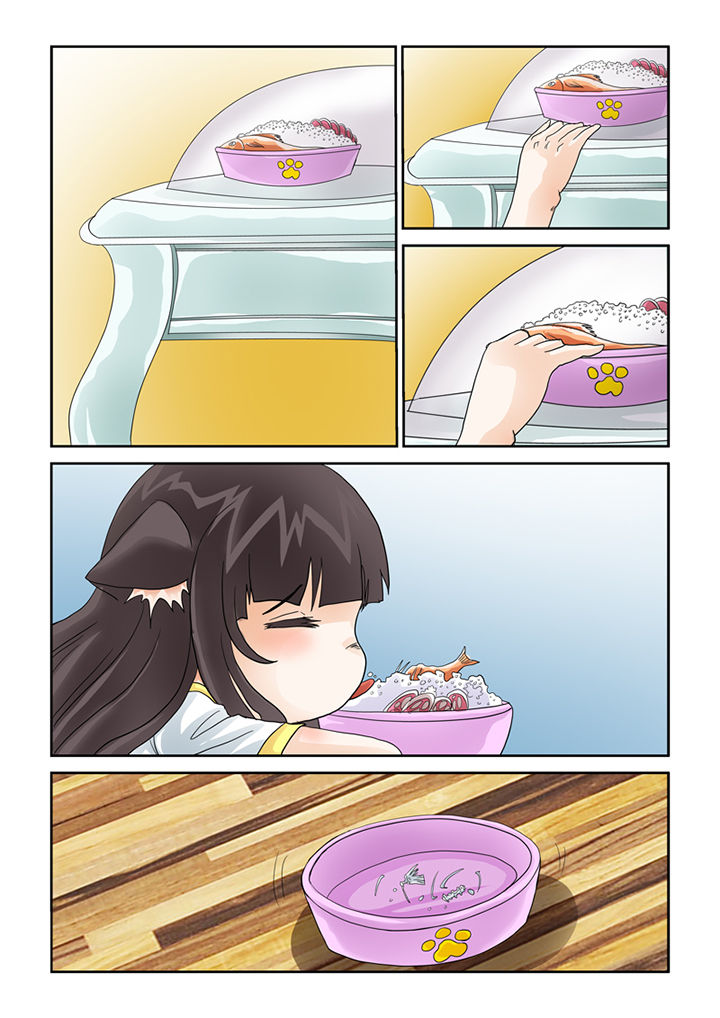 吾家猫猫大人漫画,第41章：猫猫的一天3图