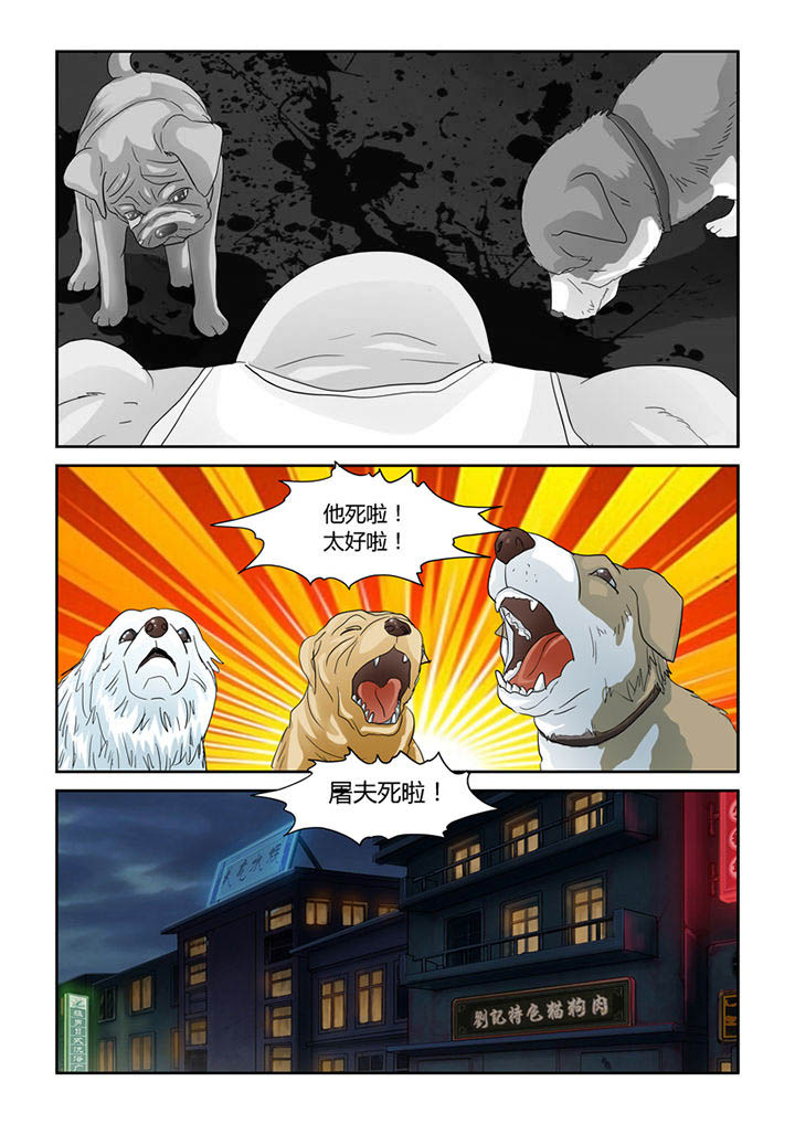 吾家猫漫画,第49章：屠戮（中）3图