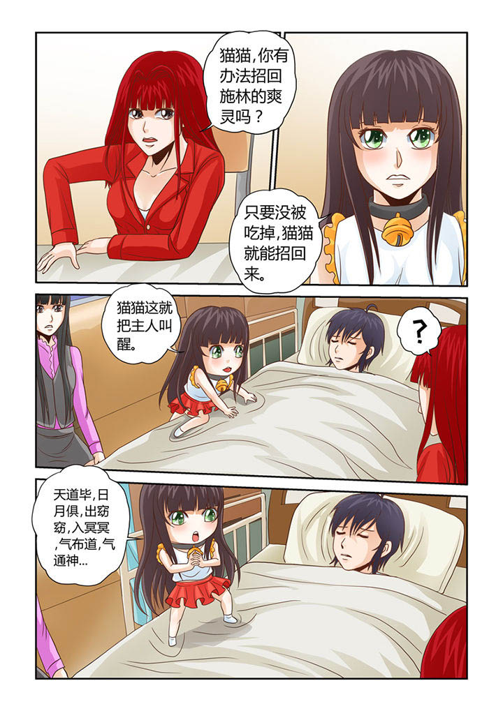吾家猫漫画,第8章：被吞噬的魂魄2图