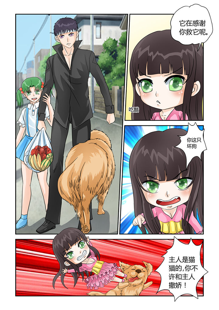 吾家猫猫大人漫画,第30章：同情2图