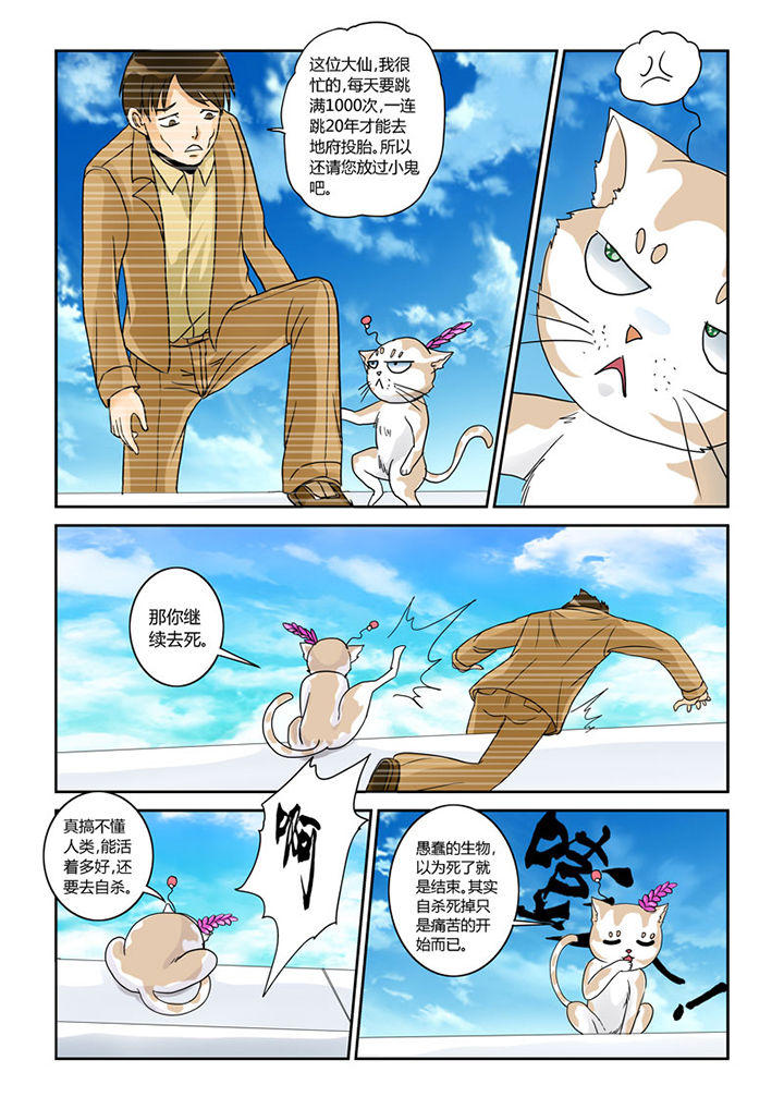 吾家猫猫大人漫画,第4章：猫猫丢了吗5图