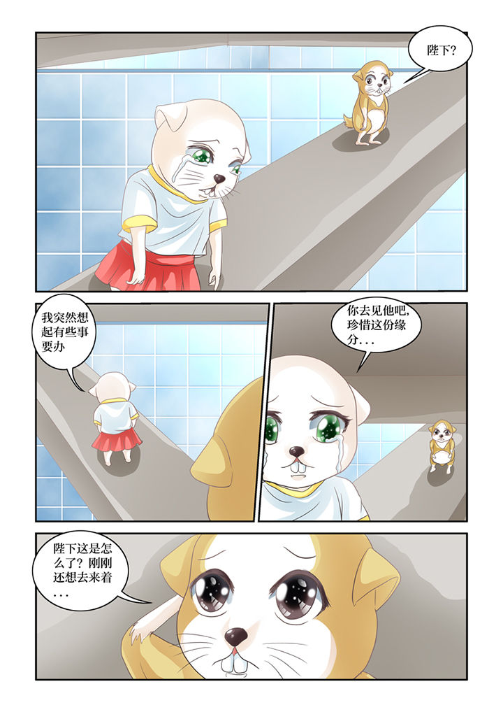 吾家猫猫大人漫画,第62章：误会2图