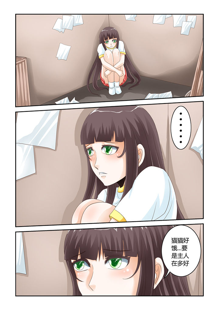 吾家猫猫大人漫画,第54章：流浪猫5图