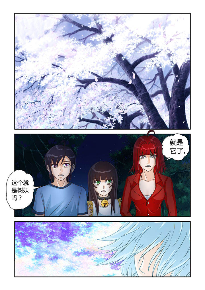 吾家猫漫画,第11章：树妖4图