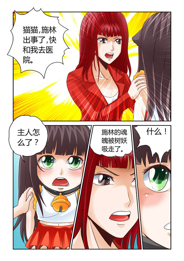 吾家猫猫大人漫画,第8章：被吞噬的魂魄5图