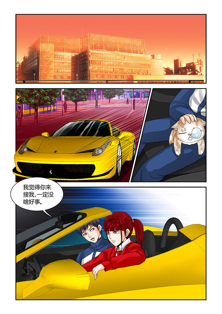 吾家猫猫大人漫画,第42章：阴间巡逻3图