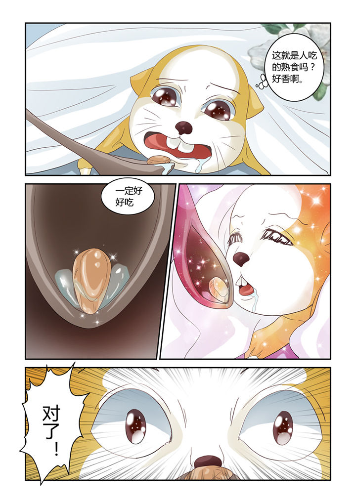 吾家猫猫大人漫画,第56章：仓鼠的回忆5图