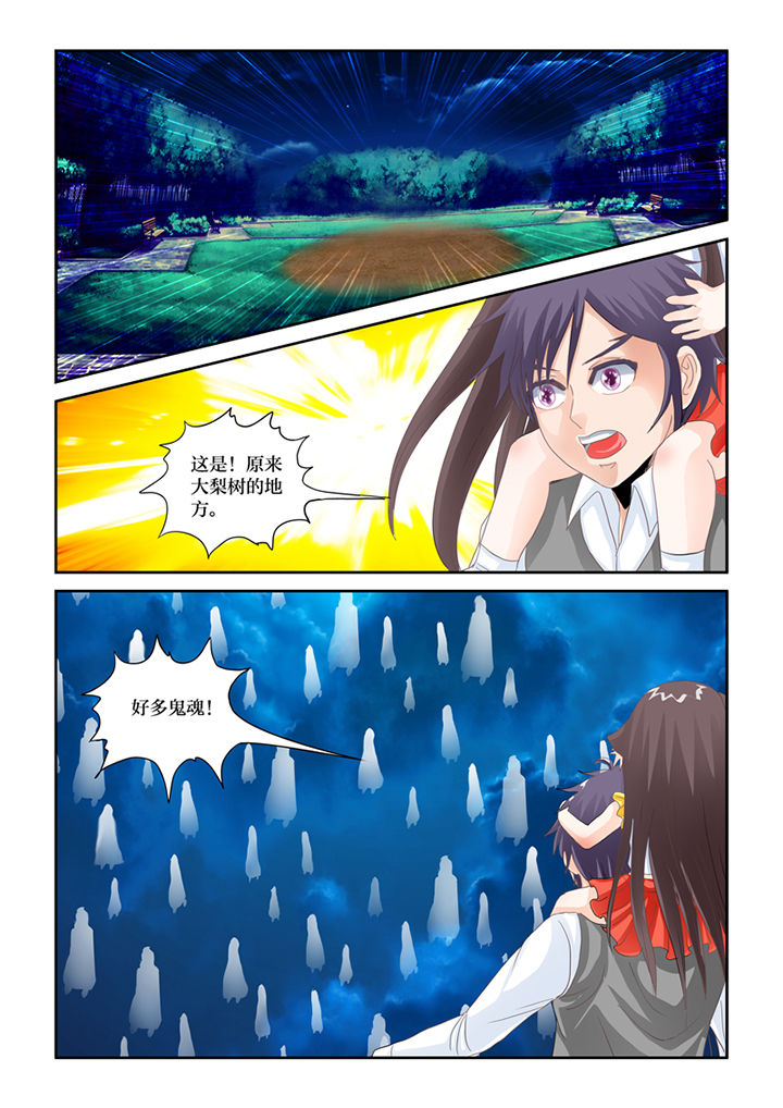 吾家猫漫画,第81章：记忆之门4图