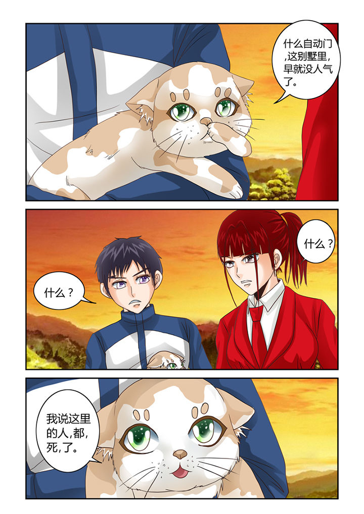 吾家猫猫大人漫画,第43章：凶宅5图