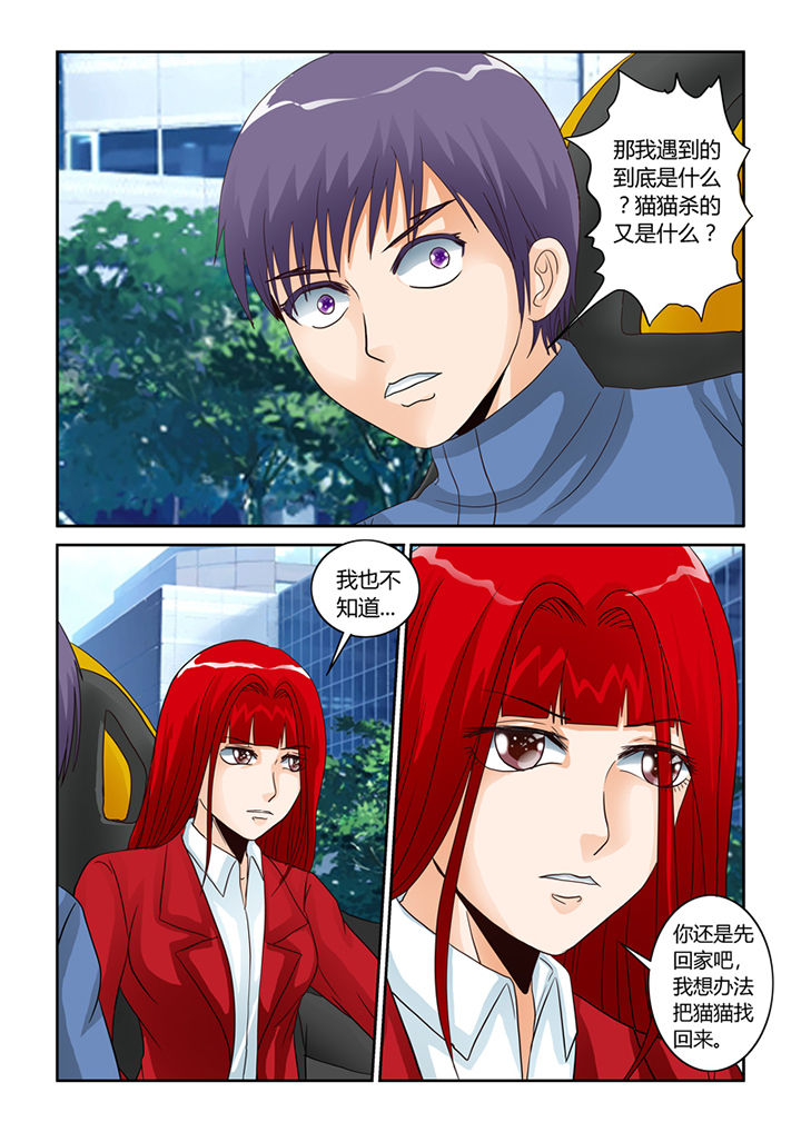 吾家猫猫大人漫画,第54章：流浪猫2图