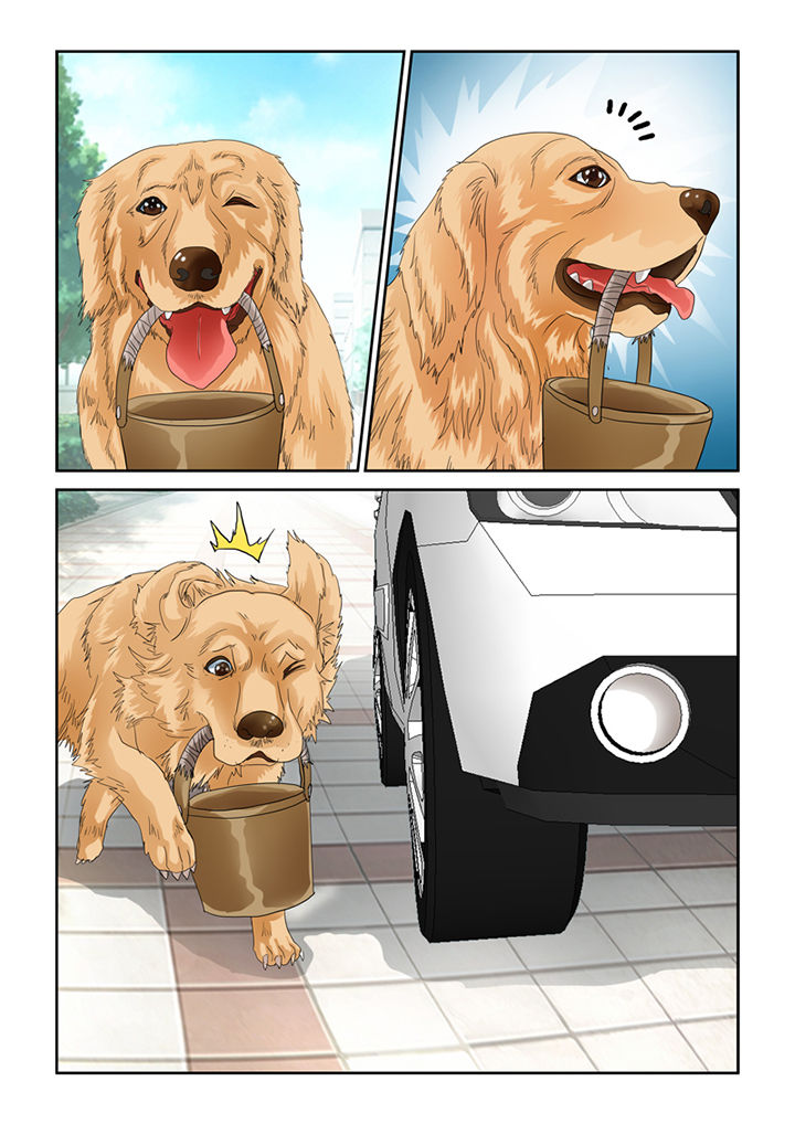 吾家猫猫大人漫画,第46章：魔猫3图