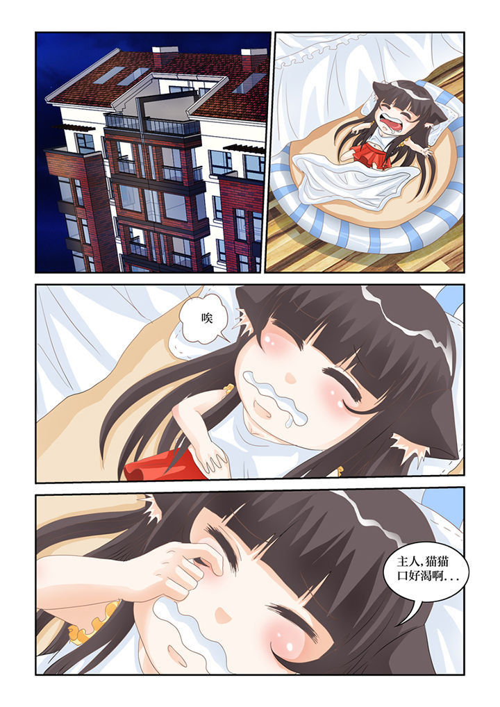 吾家猫猫大人漫画,第77章：单挑3图