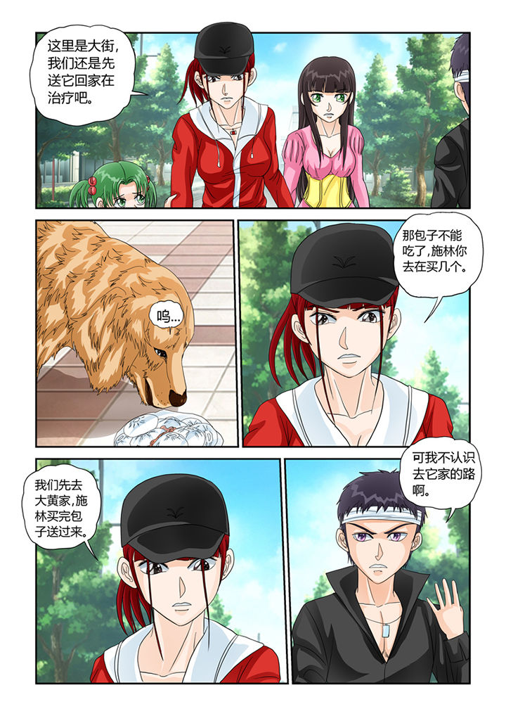 吾家猫猫大人漫画,第29章：怜悯5图