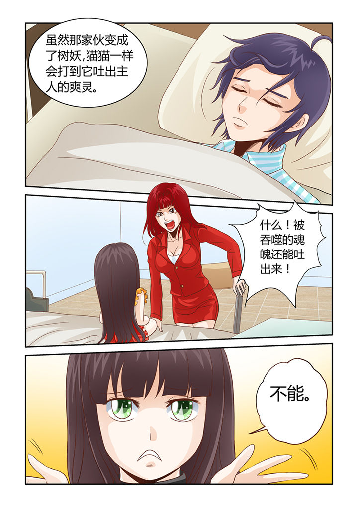 吾家猫漫画,第9章：借来的爽灵1图
