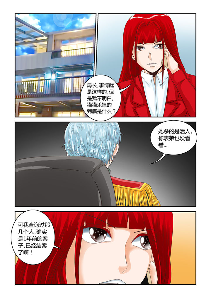 吾家猫猫大人漫画,第54章：流浪猫3图