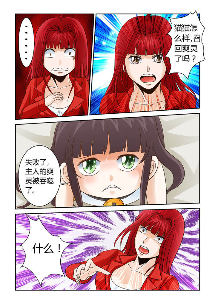 吾家猫漫画,第8章：被吞噬的魂魄5图