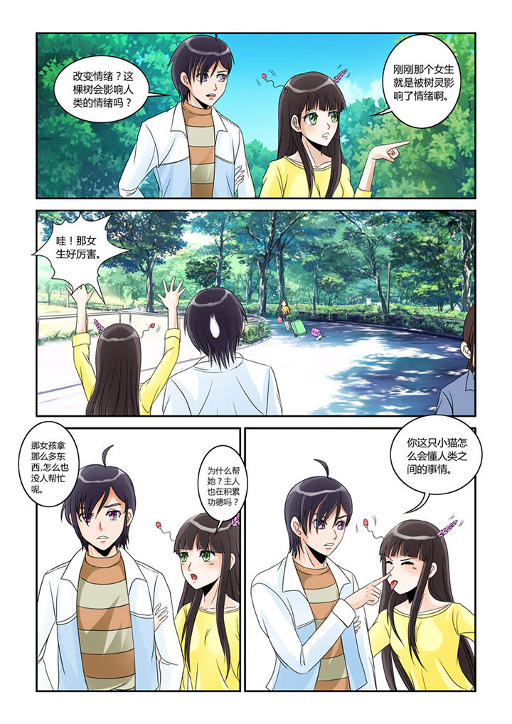 猫猫大人图片漫画,第2章：猫猫去学校4图