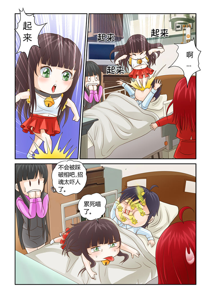 吾家猫漫画,第8章：被吞噬的魂魄4图