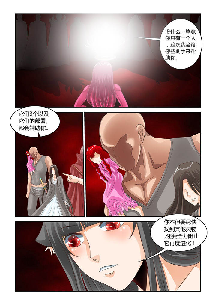 吾家猫猫大人漫画,第54章：流浪猫5图