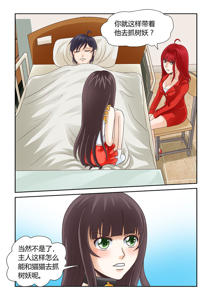 吾家猫漫画,第9章：借来的爽灵4图
