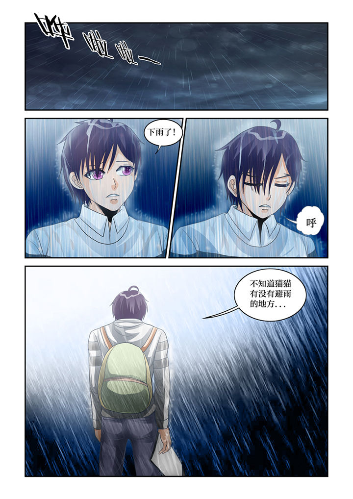 吾家猫猫大人漫画,第62章：误会5图