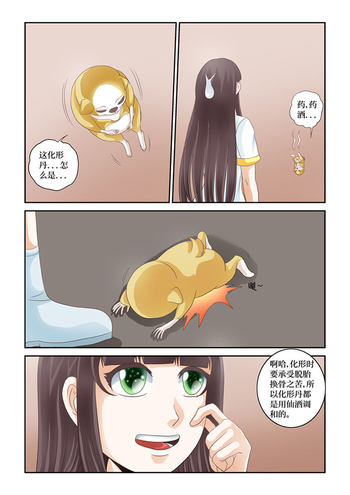 吾家猫猫大人漫画,第60章：化形2图