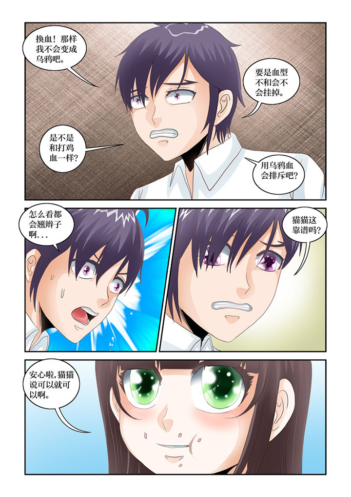 吾家猫猫大人漫画,第69章：混血乌鸦？4图