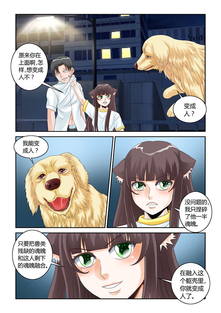 吾家猫猫大人漫画,第51章：大黄夺舍4图