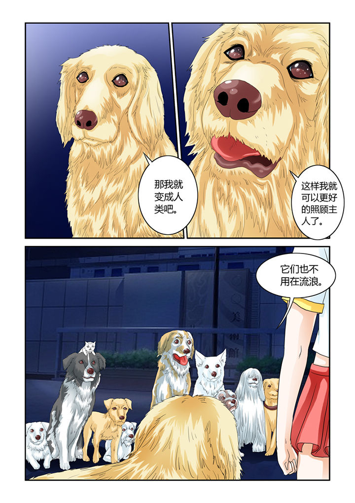 吾家猫猫大人漫画,第51章：大黄夺舍5图