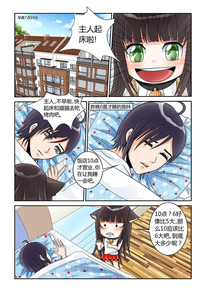 吾家猫猫大人漫画,第5章：买买买3图
