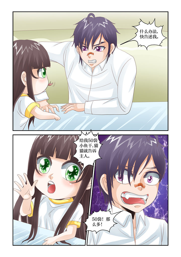 吾家猫猫大人漫画,第69章：混血乌鸦？1图