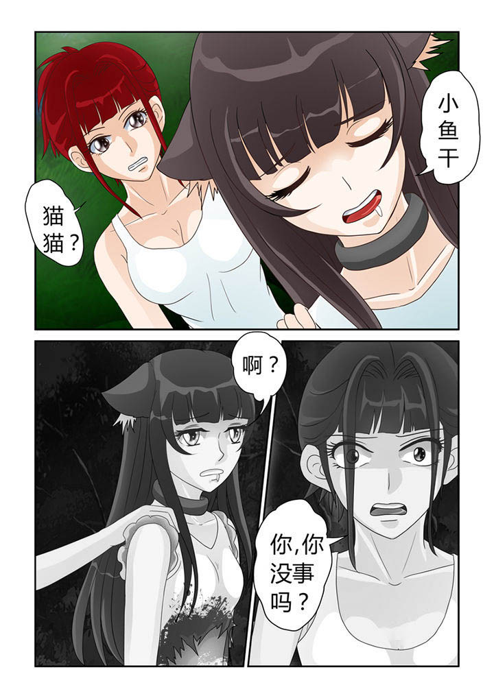 吾家猫猫大人漫画,第18章：苦海无涯回头是岸4图