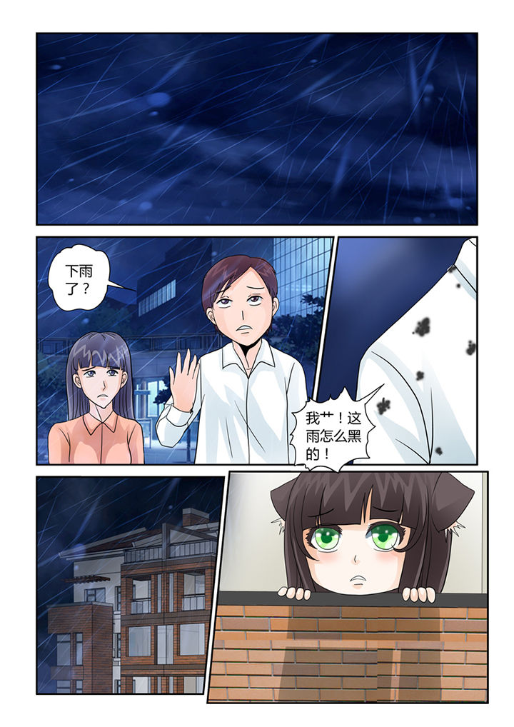 吾家猫猫大人漫画,第35章：血雨2图
