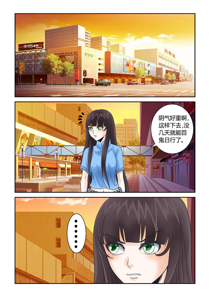 吾家猫猫大人漫画,第41章：猫猫的一天4图