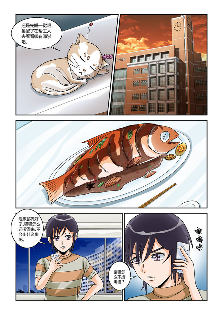 猫猫大人日文漫画,第4章：猫猫丢了吗1图