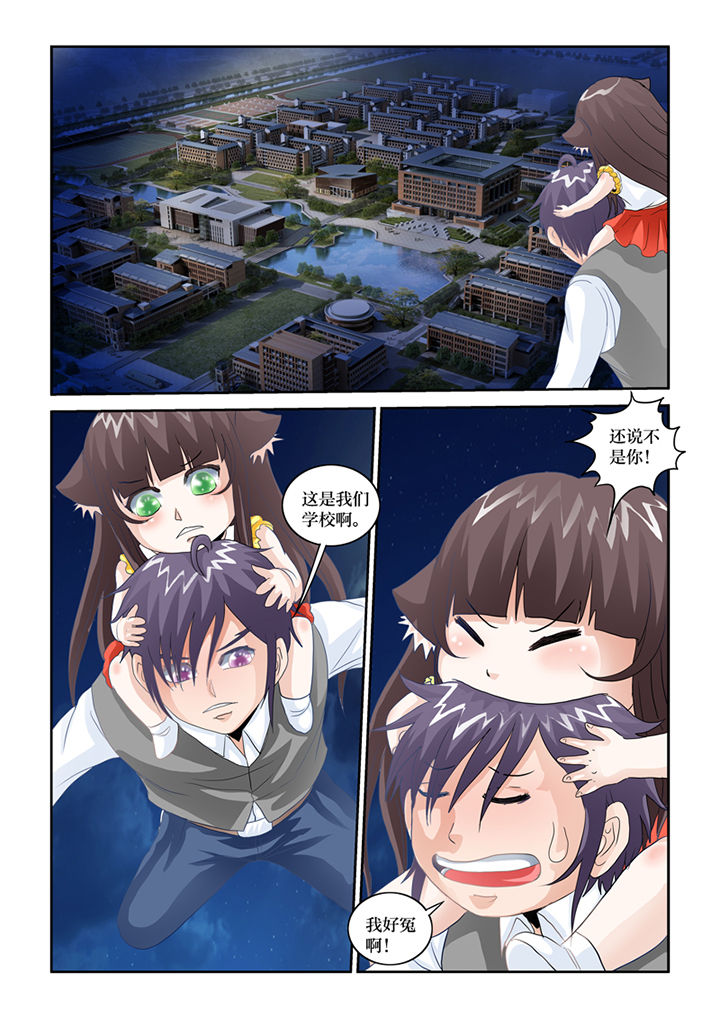 吾家猫漫画,第81章：记忆之门3图