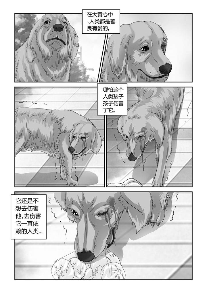 吾家猫猫大人漫画,第26章：忠犬（一）4图