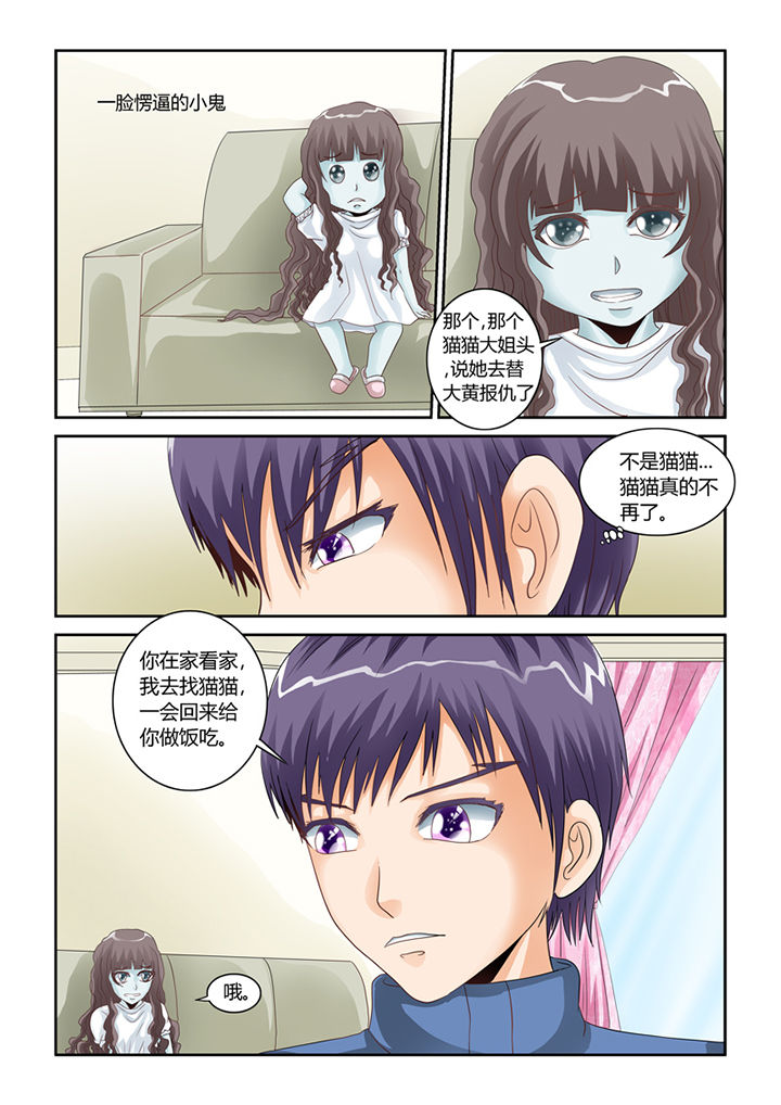 吾家猫猫大人漫画,第54章：流浪猫3图