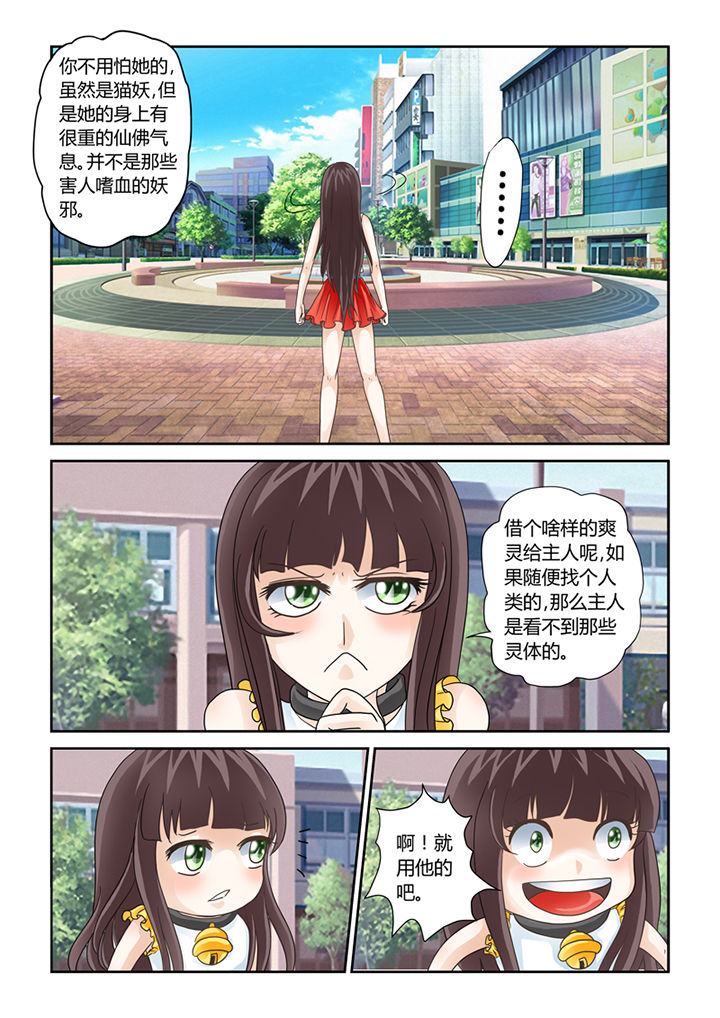 吾家猫漫画,第9章：借来的爽灵3图