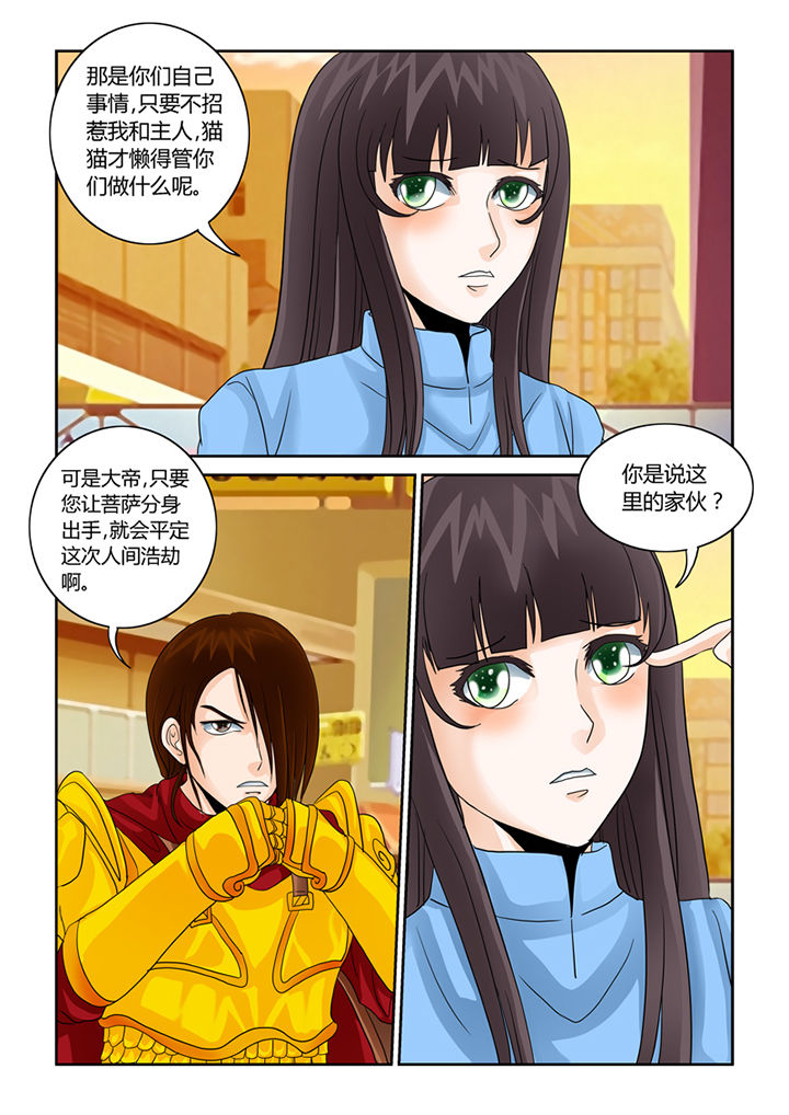 吾家猫猫大人漫画,第41章：猫猫的一天3图