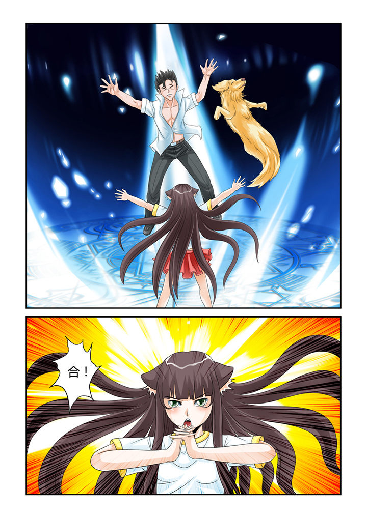 吾家猫猫大人漫画,第51章：大黄夺舍3图