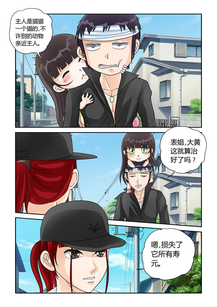 吾家猫猫大人漫画,第30章：同情3图