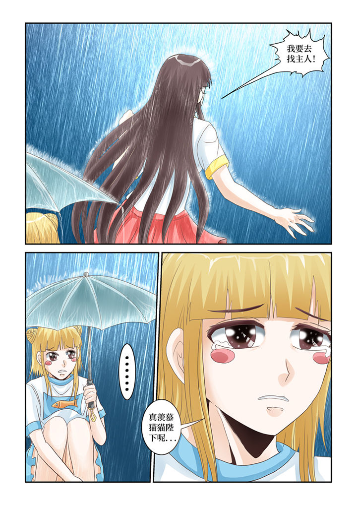 吾家猫猫大人漫画,第63章：下雨了5图