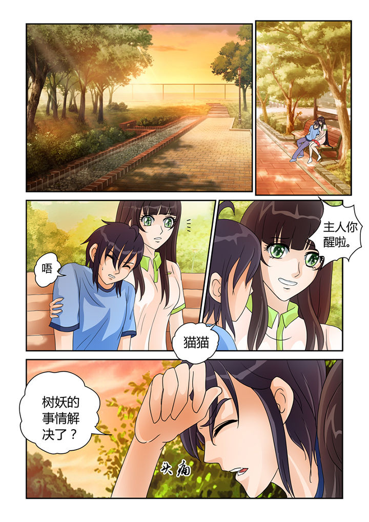 吾家猫漫画,第21章：树妖的馈赠4图